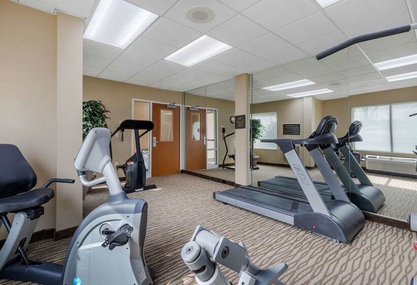 فندق Comfort Inn & Suites