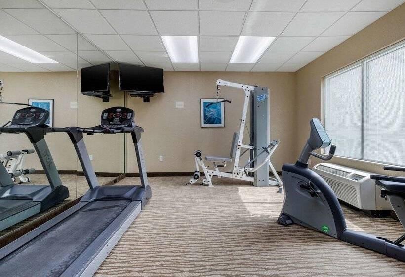 فندق Comfort Inn & Suites