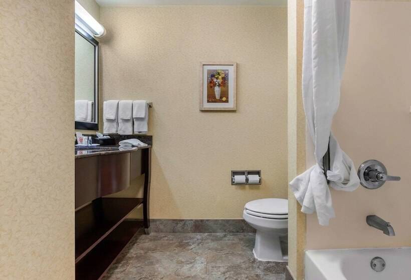 فندق Comfort Inn & Suites