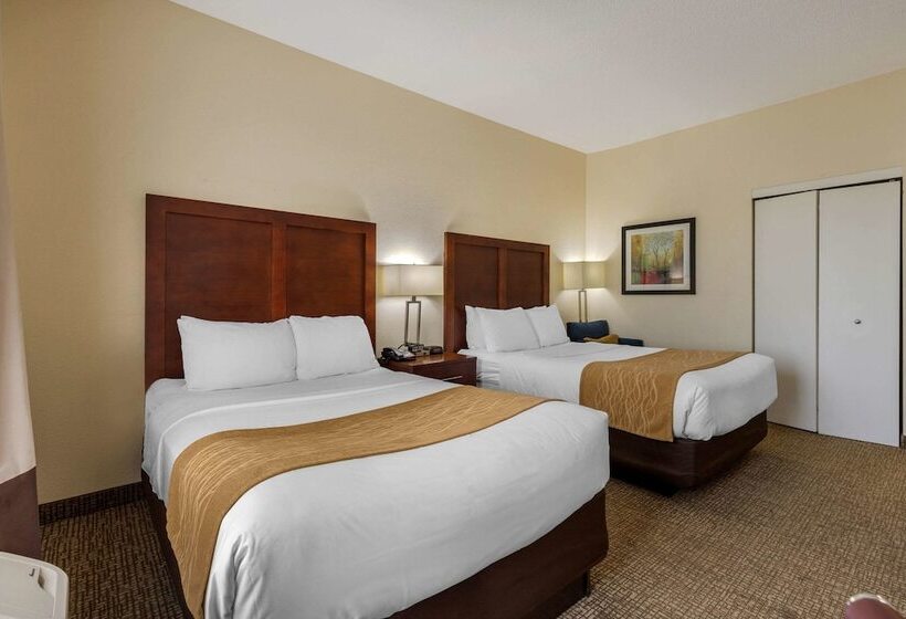 فندق Comfort Inn & Suites