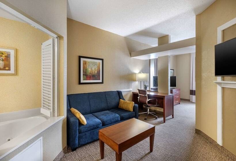 فندق Comfort Inn & Suites
