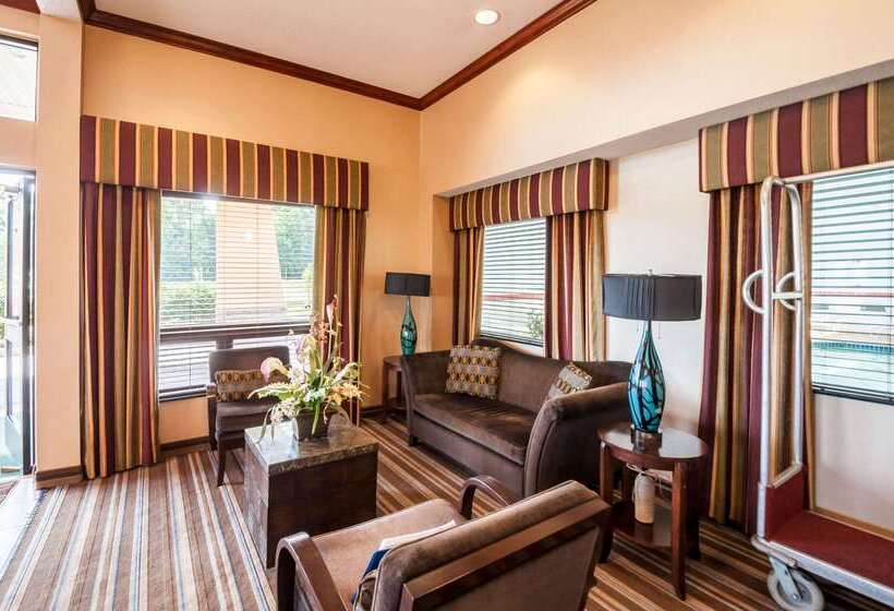 ホテル Comfort Inn & Suites