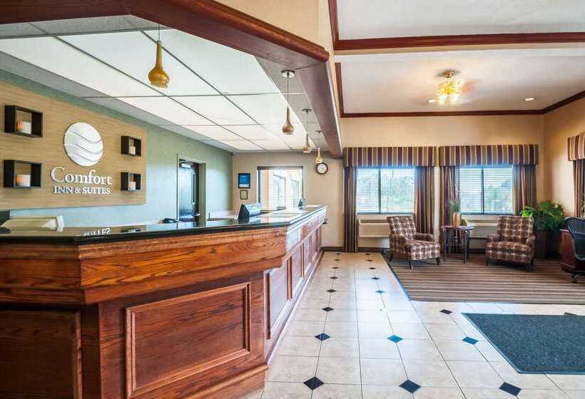 هتل Comfort Inn & Suites