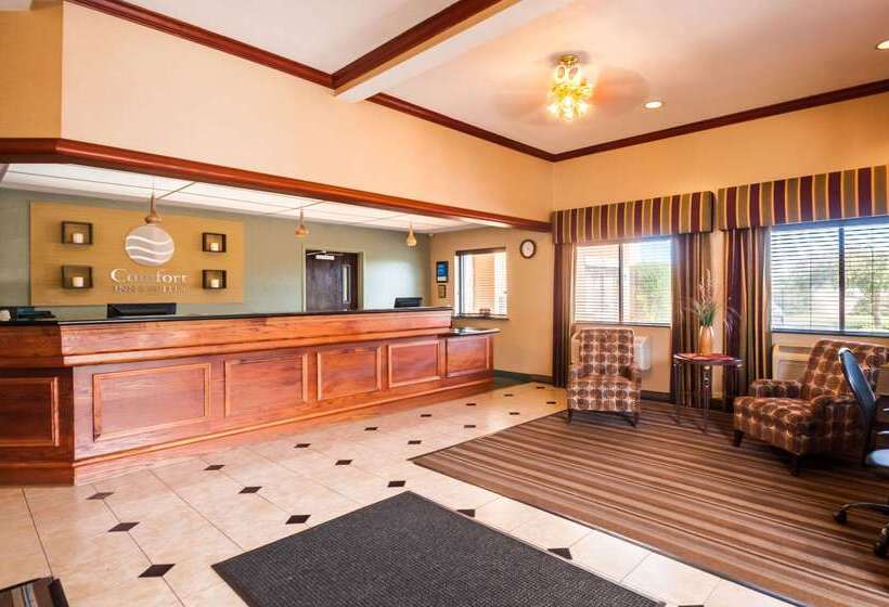 ホテル Comfort Inn & Suites