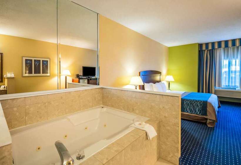 ホテル Comfort Inn & Suites