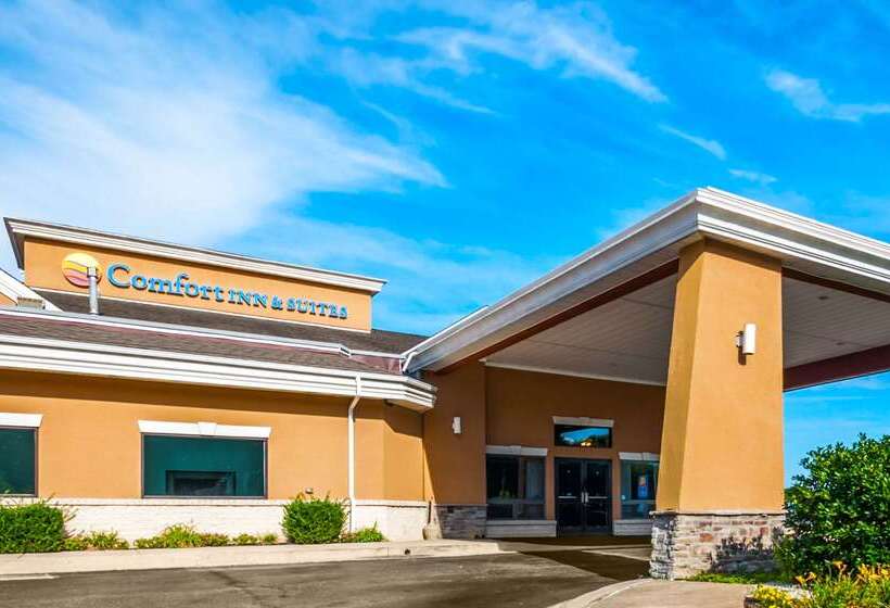 ホテル Comfort Inn & Suites