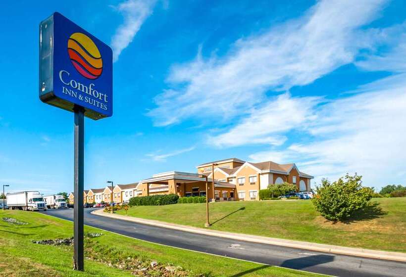 ホテル Comfort Inn & Suites