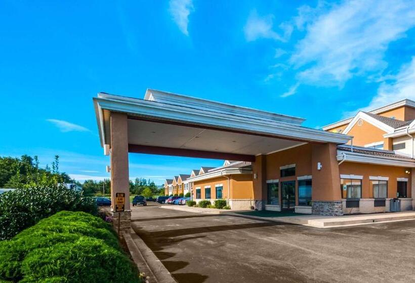 ホテル Comfort Inn & Suites