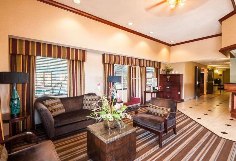 ホテル Comfort Inn & Suites