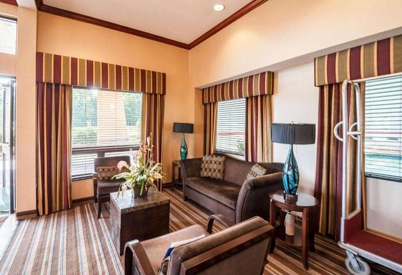 ホテル Comfort Inn & Suites