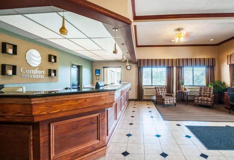 ホテル Comfort Inn & Suites