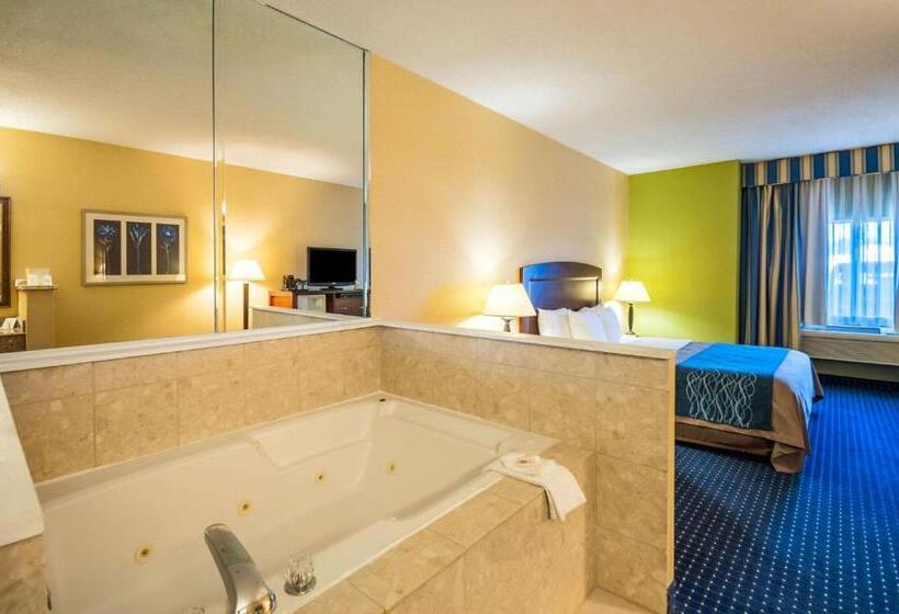 ホテル Comfort Inn & Suites