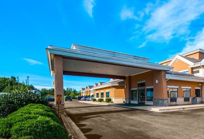 ホテル Comfort Inn & Suites