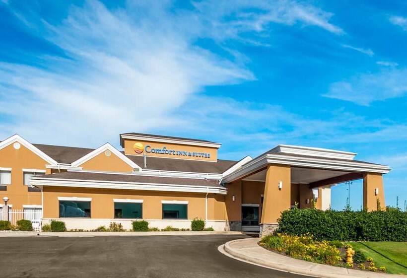 ホテル Comfort Inn & Suites