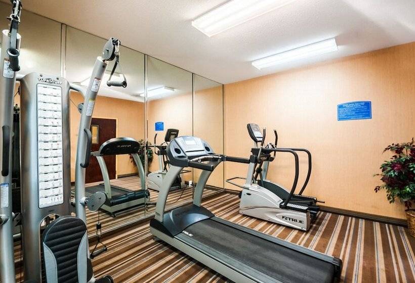 ホテル Comfort Inn & Suites