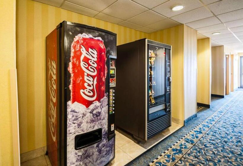 ホテル Comfort Inn & Suites