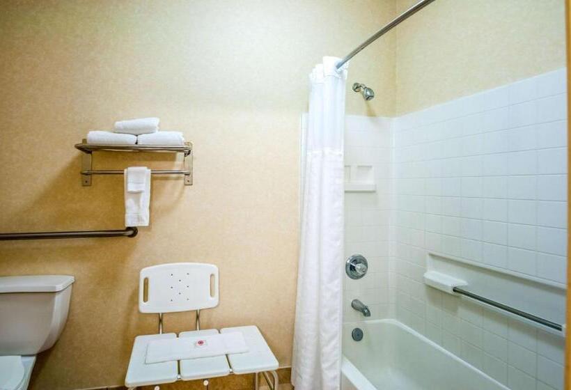 ホテル Comfort Inn & Suites