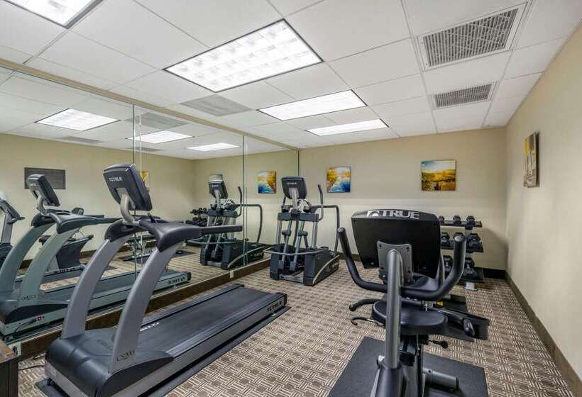 ホテル Comfort Inn Near Six Flags St. Louis