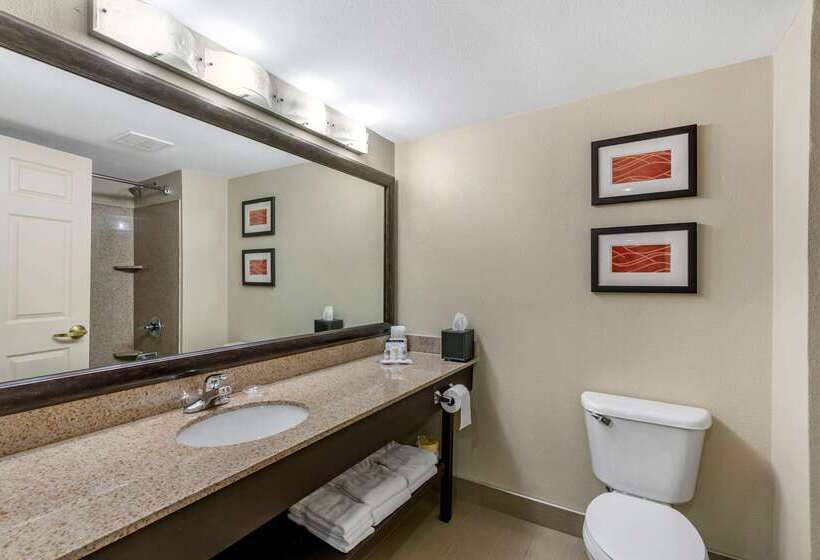 ホテル Comfort Inn Near Six Flags St. Louis