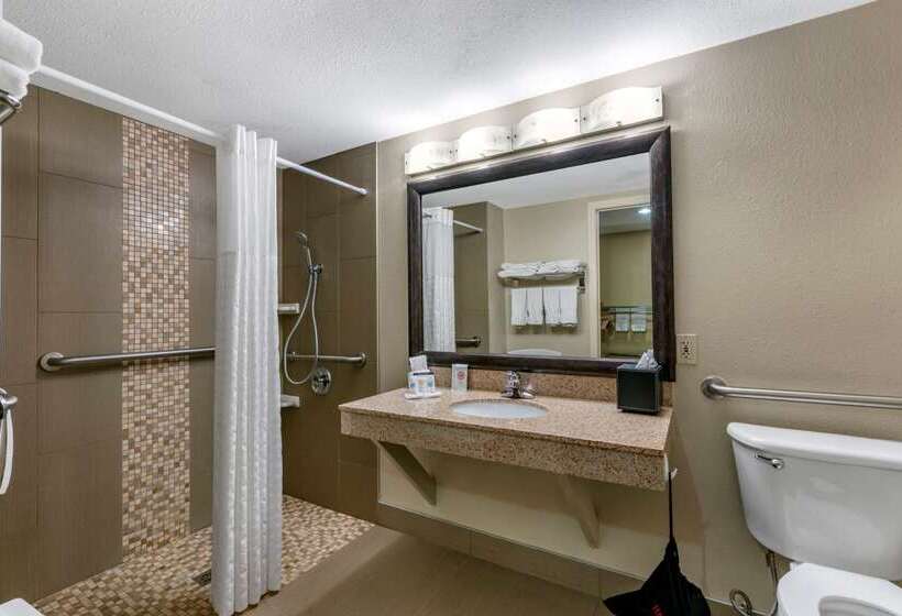 ホテル Comfort Inn Near Six Flags St. Louis