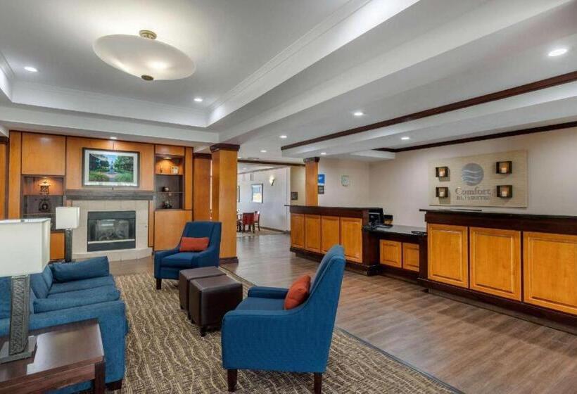 فندق Comfort Inn & Suites