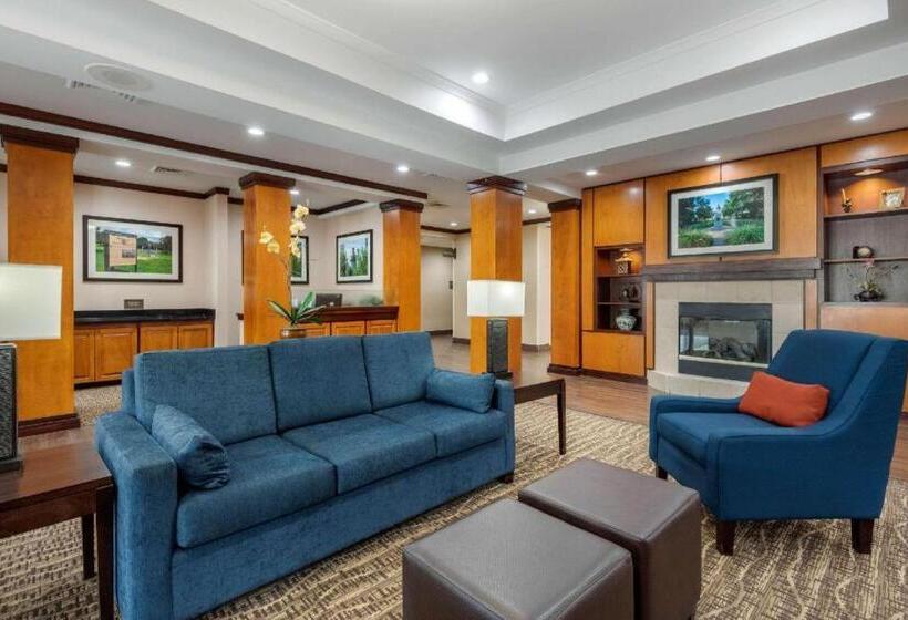 فندق Comfort Inn & Suites