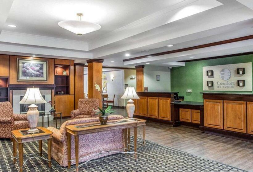 فندق Comfort Inn & Suites