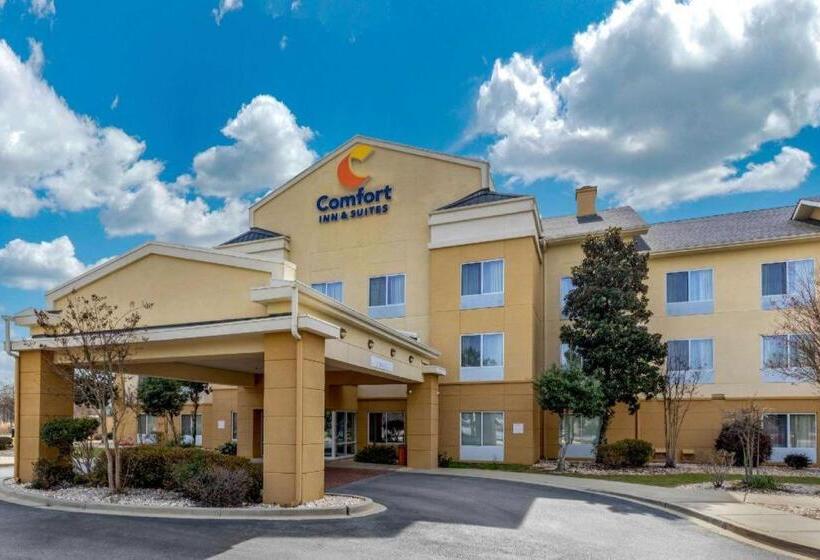 فندق Comfort Inn & Suites