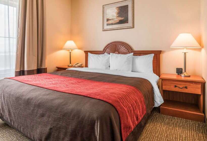 فندق Comfort Inn & Suites