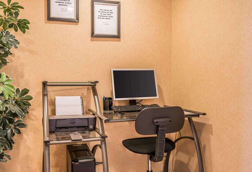 فندق Comfort Inn & Suites