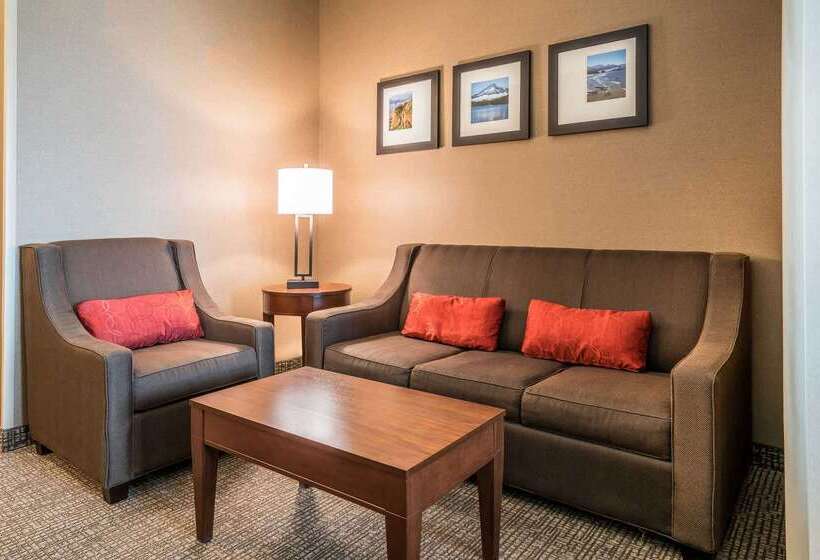 فندق Comfort Inn & Suites