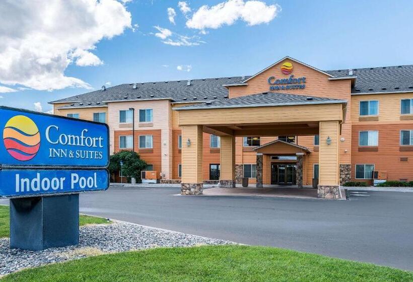 فندق Comfort Inn & Suites