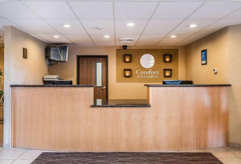فندق Comfort Inn & Suites