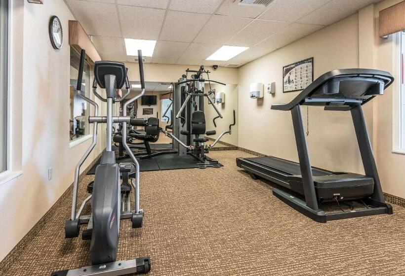 فندق Comfort Inn & Suites