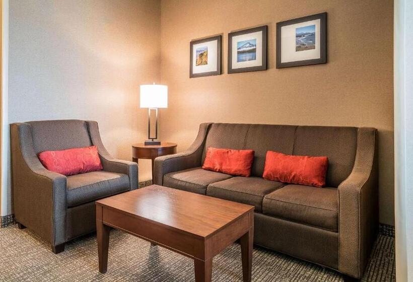 فندق Comfort Inn & Suites