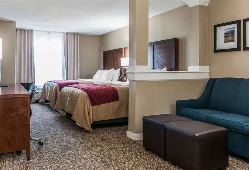 בית מלון כפרי Comfort Inn & Suites