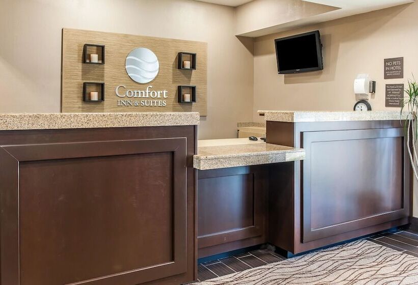 호텔 Comfort Inn & Suites