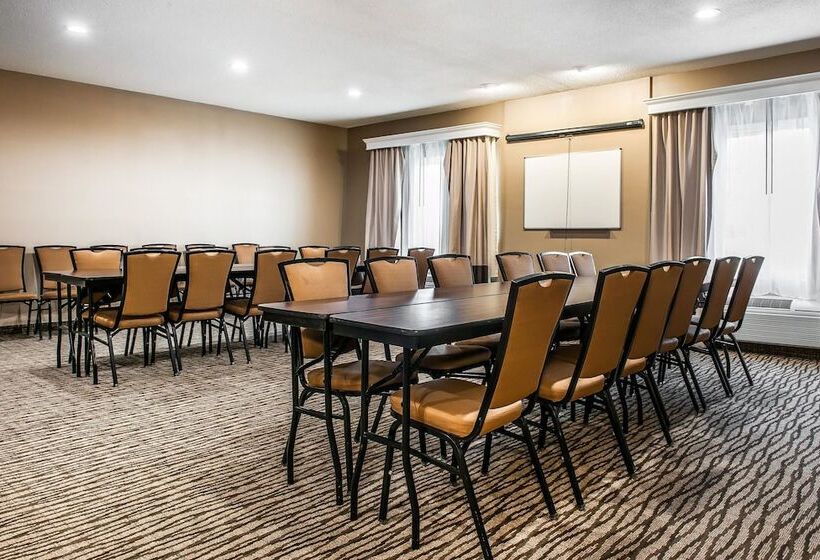 호텔 Comfort Inn & Suites