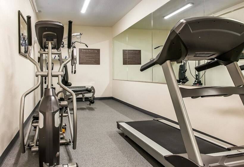 호텔 Comfort Inn & Suites