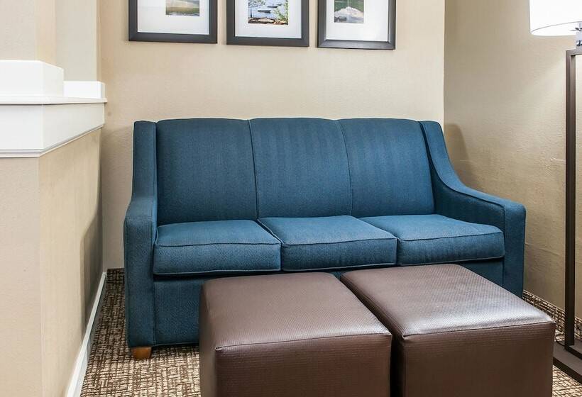 בית מלון כפרי Comfort Inn & Suites