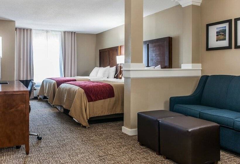 호텔 Comfort Inn & Suites
