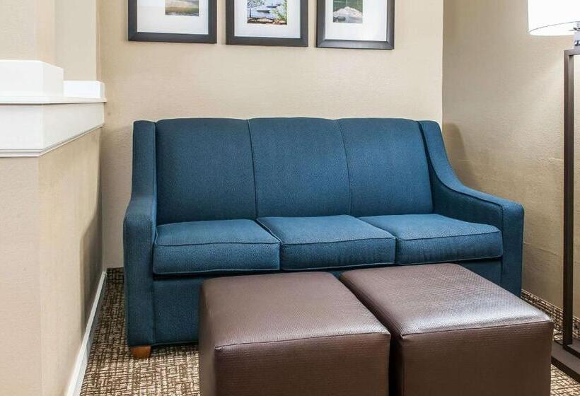 호텔 Comfort Inn & Suites