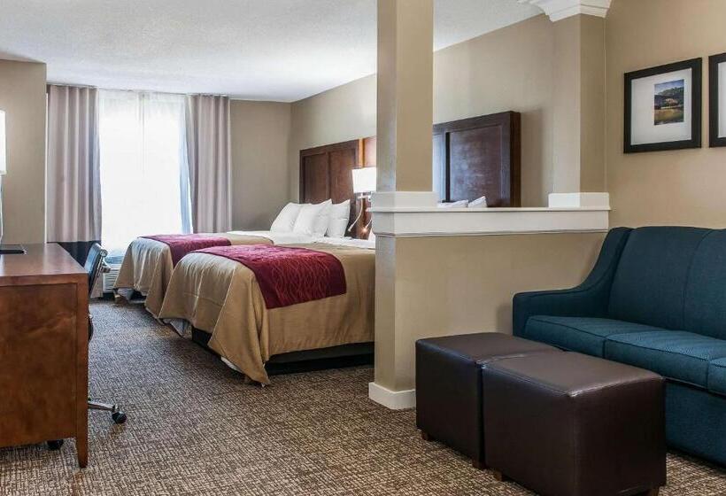 호텔 Comfort Inn & Suites