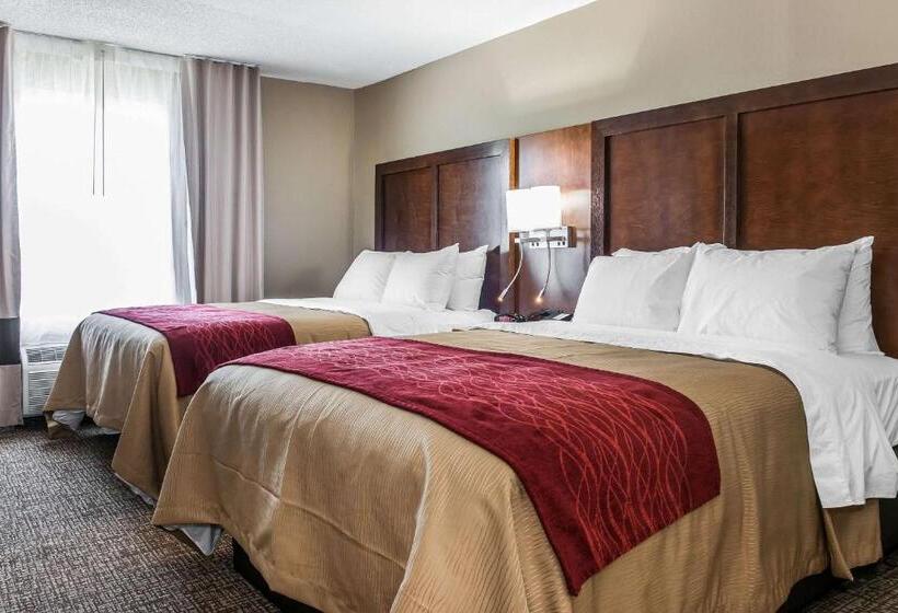 호텔 Comfort Inn & Suites