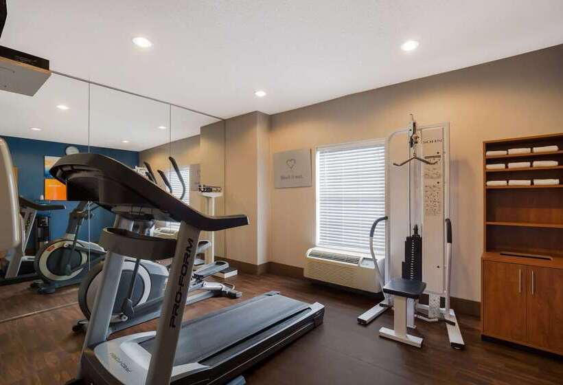 فندق Comfort Suites Near University