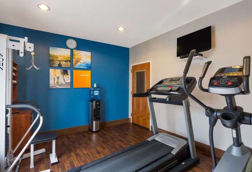 فندق Comfort Suites Near University