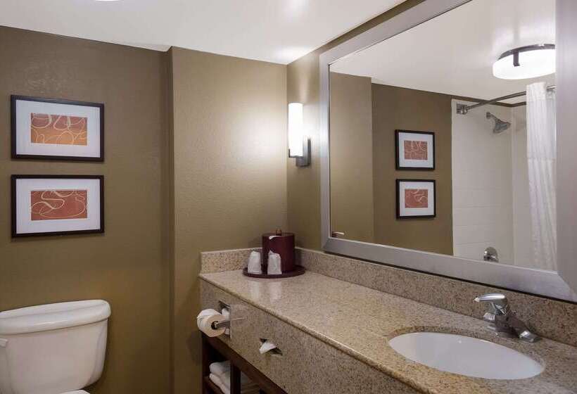 فندق Comfort Suites Near University