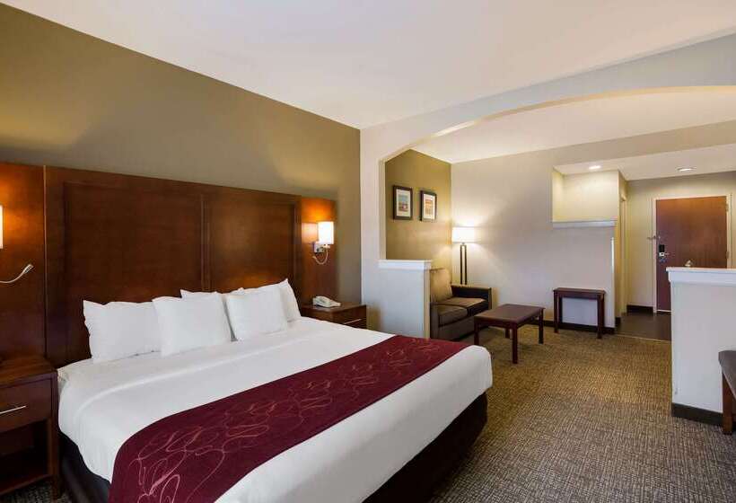 فندق Comfort Suites Near University