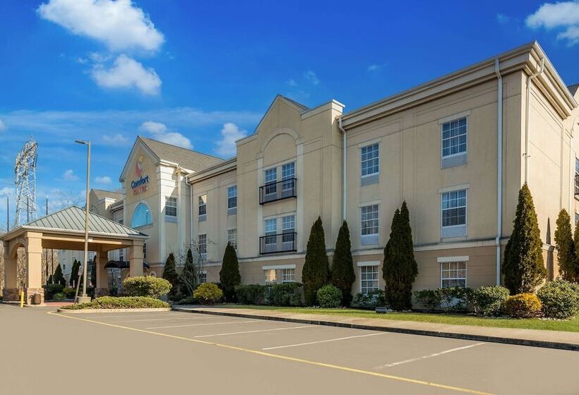 فندق Comfort Suites Near University