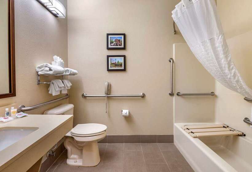 酒店 Comfort Suites North